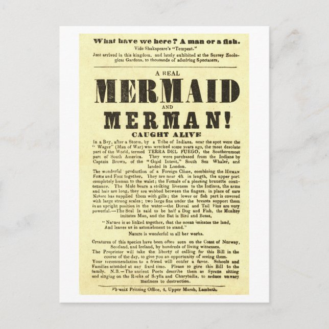 Mermaid Vintag Show Poster Odness Postkarte (Vorderseite)