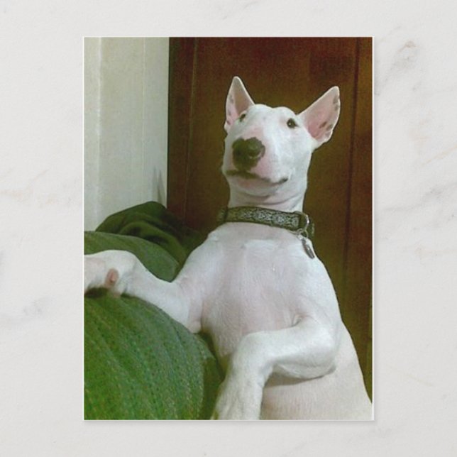 Merra Postkarte (Vorderseite)