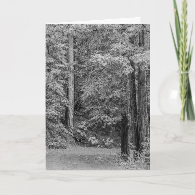 Merry Adventures Feiertagskarte (Vorderseite)