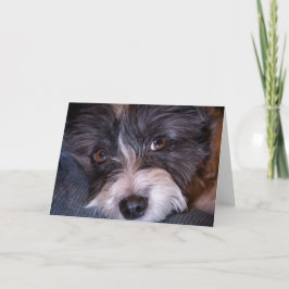 Merry Anna der Papijack Dog Karte