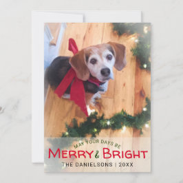 Merry & Bright Beagle Dog Red Bow Foto Weihnachten