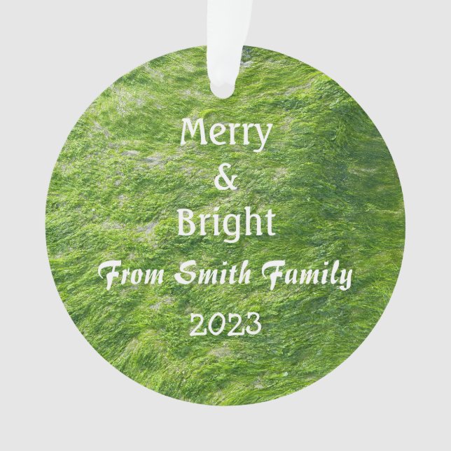 Merry & Bright Christmas Individuelle Name Sea Mos Ornament (Vorderseite)