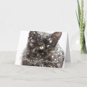 Merry Catmas Cat Weihnachtsgrüße Karte
