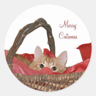 Merry Catsmas Runder Aufkleber