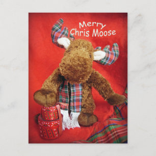 Merry Chris Moose Feiertagspostkarte