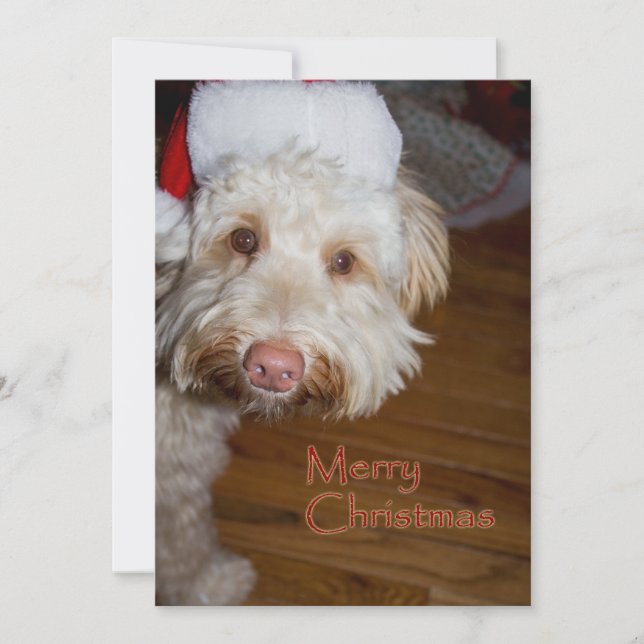 Merry Christmas A Labradoodle Feiertagskarte (Vorderseite)