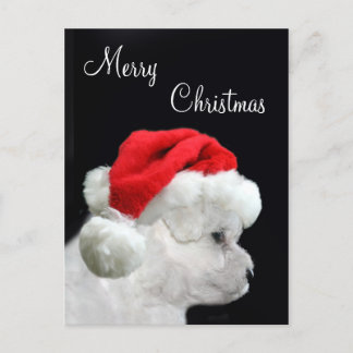 Merry Christmas Bichon Frise Feiertagspostkarte
