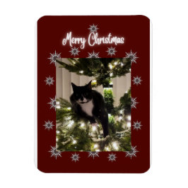 Merry Christmas card with Tuxedo cat on my tree. Magnet