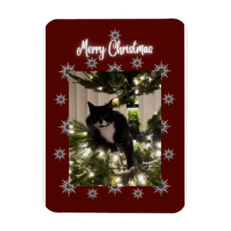 Merry Christmas card with Tuxedo cat on my tree. Magnet
