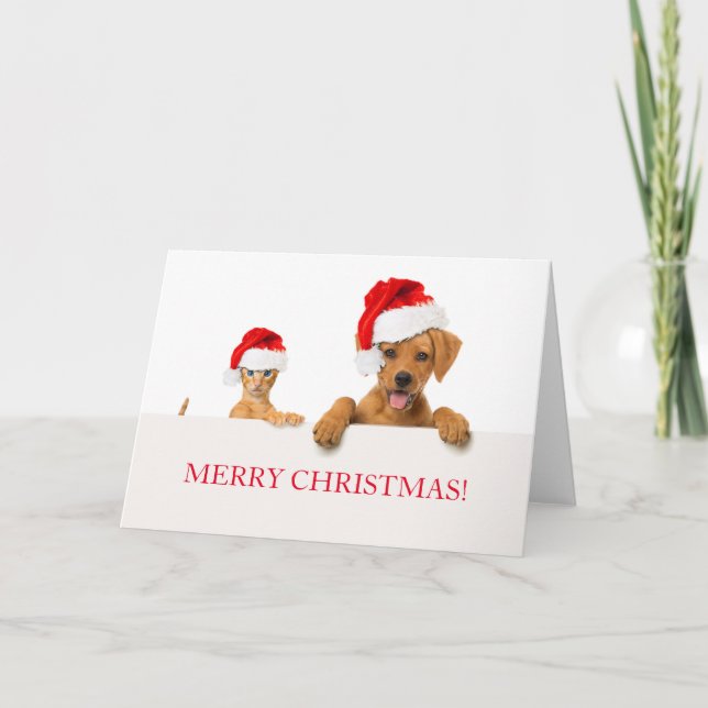MERRY CHRISTMAS Carte de voeux CHIEN ET CAT (Devant)