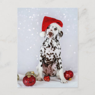 Merry Christmas Dalmatian Postkarte