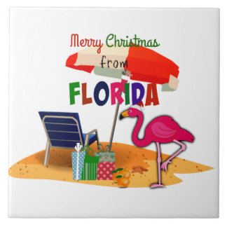 Merry Christmas from Florida Fliese