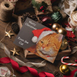 Merry Christmas from the Cat Feiertagskarte<br><div class="desc">This funny cat Christmas card will make the day of cat lovers and non-cat lovers alike. The outside of the card feys an orange tabby cat wearing a red Santa had and winking. Next to the cat are the words in white letters, "Merry Christmas From the Cat" and inside the...</div>