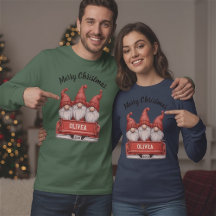 Merry Christmas Gnomes in Truck