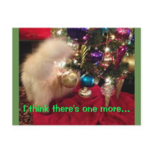 Merry Christmas & Happy New Year