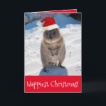 Merry Christmas & Happy New Year Quokka Beach Red Karte<br><div class="desc">The quokka is the happiest animal in the world! Who better to wish your family and friends a Merry Christmas and a Happy New Year? The photo of this extremely cute and festive quokka was taken on a pristine beach on Rottnest Island, one of the most popular holiday destinations in...</div>