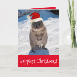 Merry Christmas & Happy New Year Quokka Beach Red Karte