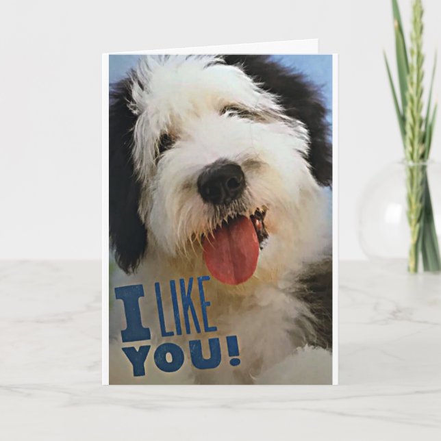 ***MERRY CHRISTMAS**** **LIEBE SIE** & **WIE SIE** KARTE (Vorderseite)