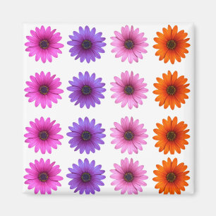 MERRY CHRISTMAS MAGNET