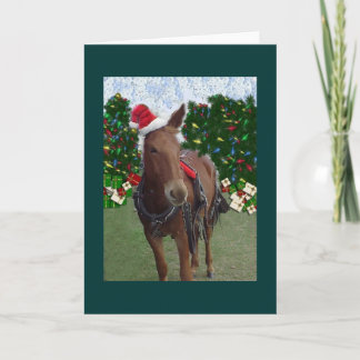 Merry Christmas Mule Card Feiertagskarte