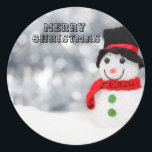 Merry Christmas Sticker Label<br><div class="desc">Merry Christmas Sticker Label</div>