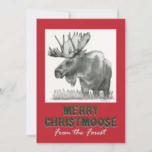 Merry Christmoose Ankündigung