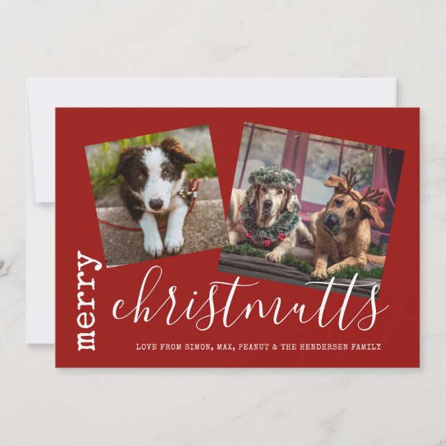Merry ChristMUTTS Foto Haustiere Feiertagskarte (Vorderseite)