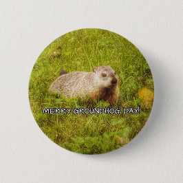 Merry Groundhog Day Taste Button