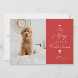 Merry Litte Christmas Pet Foto Flat Holiday Card Feiertagskarte