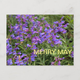 Merry May Postkarte