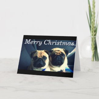 Merry Mops xmas Feiertagskarte