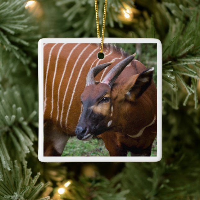 Merry Mountain Bongo Antelope! Keramikornament (Baum)