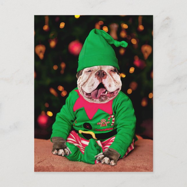 Merry Pitmas, Pit Bull Style Postkarte (Vorderseite)