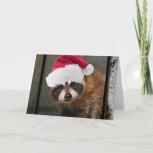 Merry Raccoon Christmas Feiertagskarte