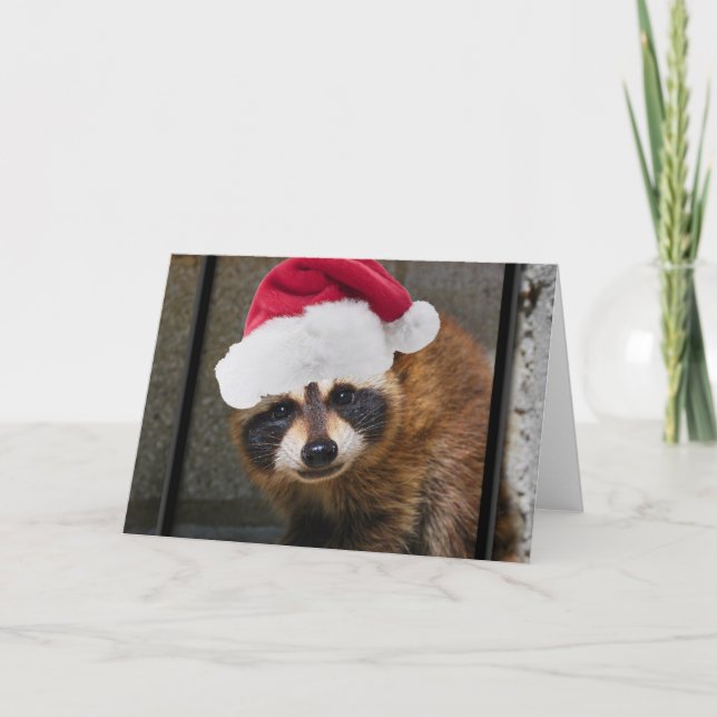 Merry Raccoon Christmas Feiertagskarte (Vorderseite)