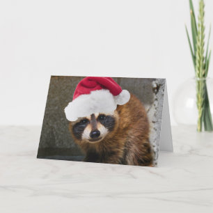 Merry Raccoon Christmas Feiertagskarte