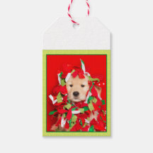 Merry Woofin's Christmas Golden Retriever Puppy