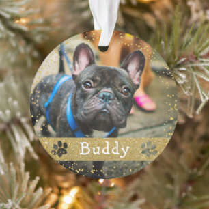 Merry Woofmas Gold Parties scintillant Chien anima