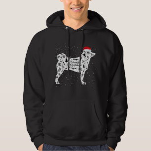 Merry Xmas Akita Dog Weihnachten Hoodie