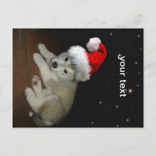 Merry Xmas Puppy Feiertagspostkarte