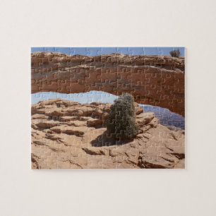 Mesa Arch und Tumbleweed im Canyonlands