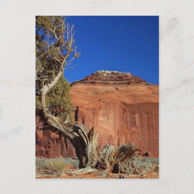 Mesa Spearhead im Monument Valley Postkarte (Vorderseite)