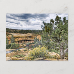 Mesa Verde Cliff Dwellings Postkarte