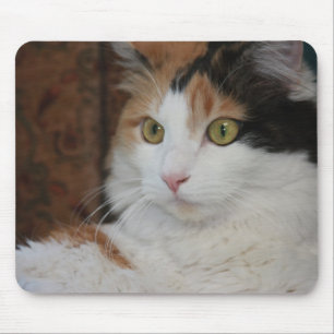 Mesmerisierte Felin Mousepad