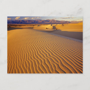 Mesquite Flat Sanddünen im Death Valley Postkarte