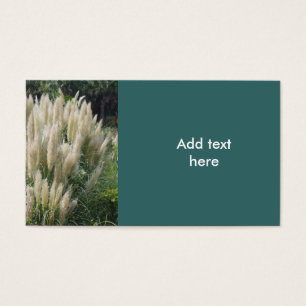 Message Card