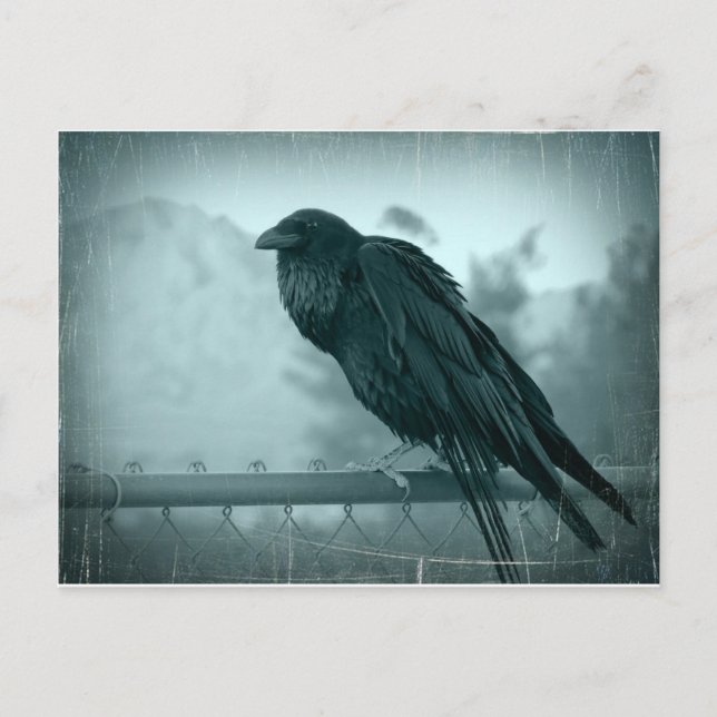 Messenger Postkarte (Vorderseite)