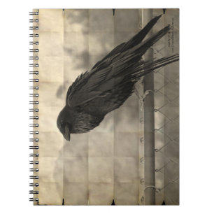 Messenger (Vintag) Notizblock