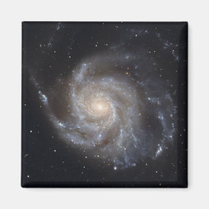 Messier 101, Pinwheel Galaxy Magnet