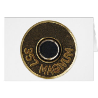 MessingMuschelgehäuse mit 357 Magnum